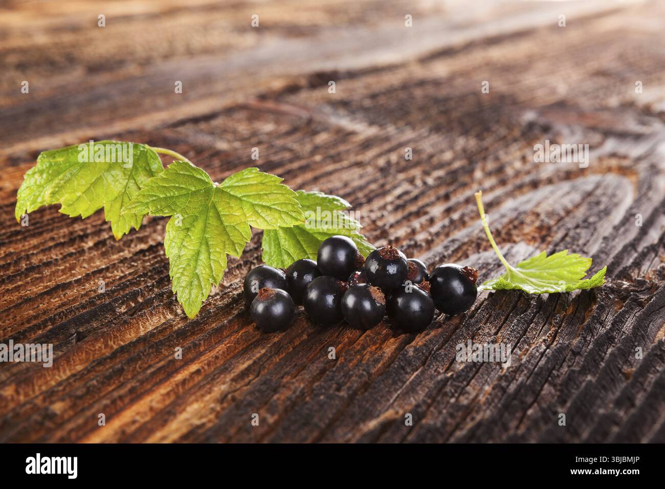Groseille noire mûre sur vieux fond en bois vintage. Manger des fruits d'été sains Banque D'Images