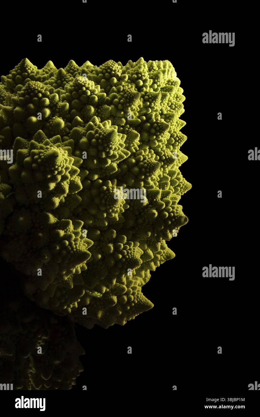 Brocoli Romanesco isolé sur fond noir. Manger des légumes sains Banque D'Images