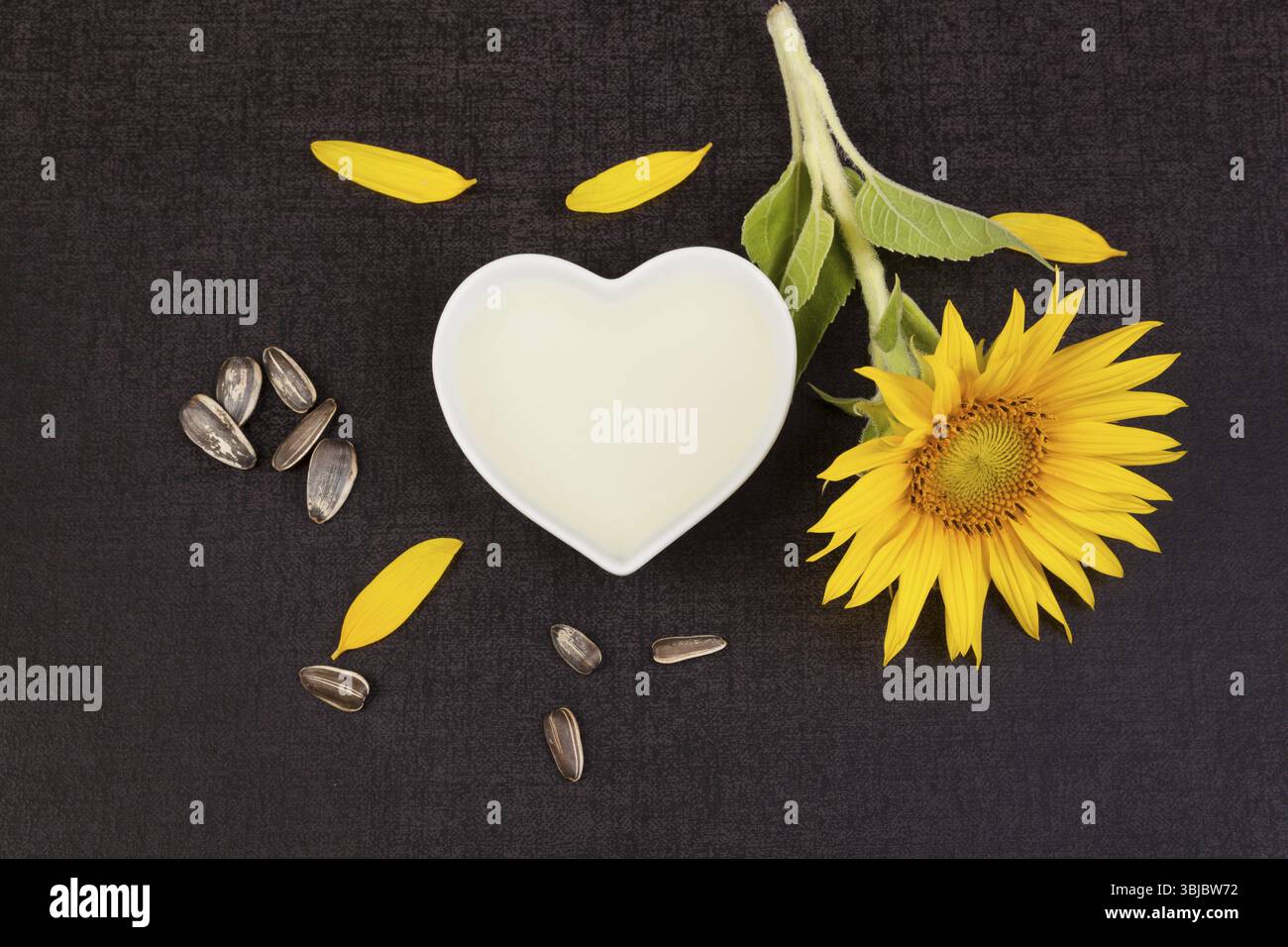 Huile de tournesol d'en haut avec plante de tournesol et graines sur fond noir Banque D'Images