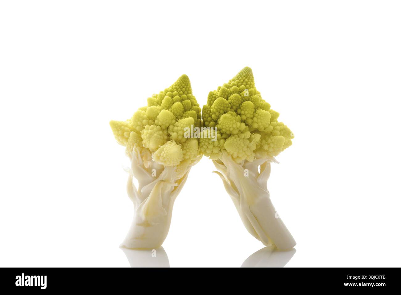 Pièces romanes de chou-fleur isolées sur fond blanc avec réflexion. Régime alimentaire cru sain Banque D'Images