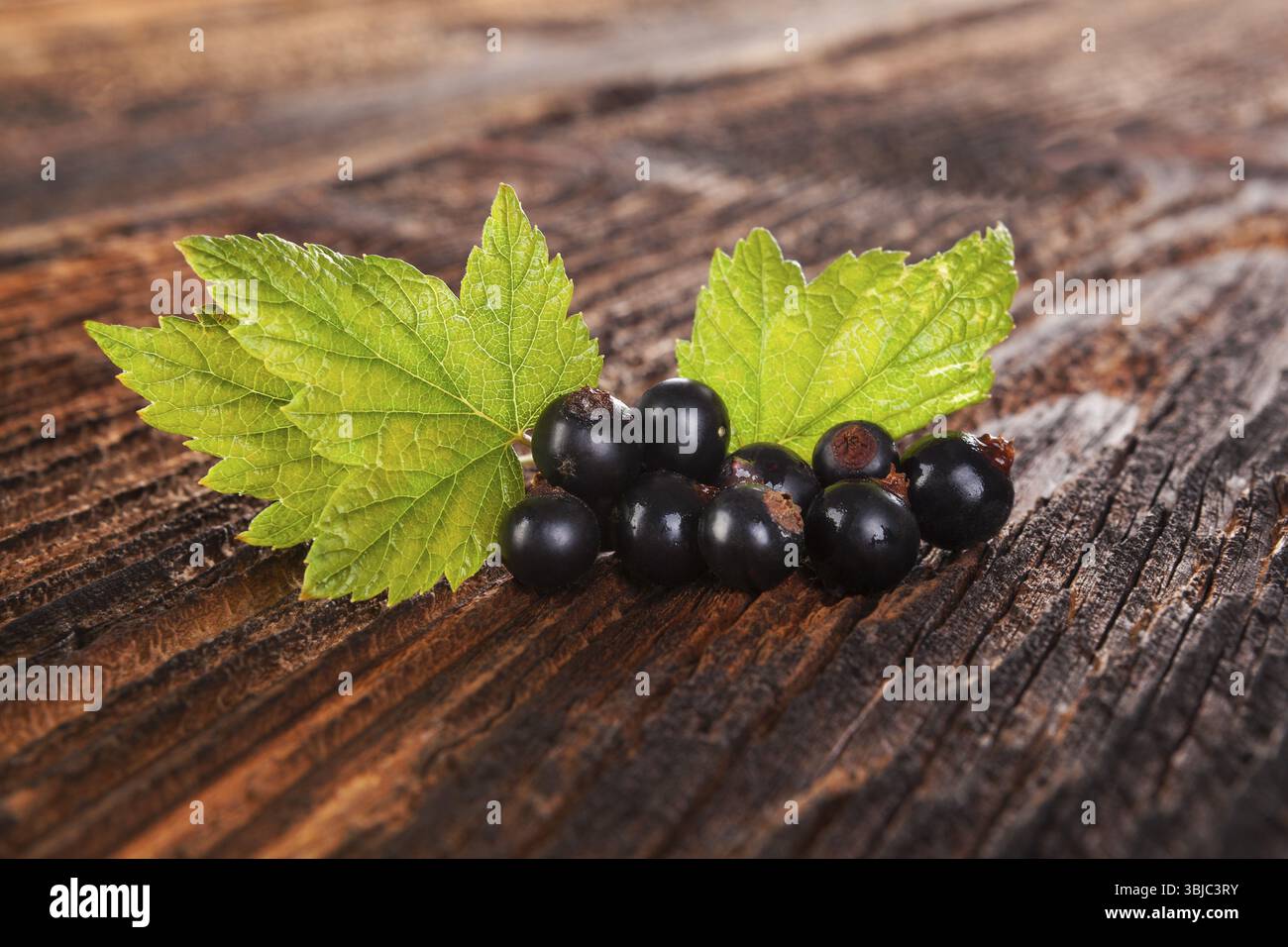 Groseille noire mûre sur vieux fond en bois vintage. Manger des fruits d'été sains Banque D'Images