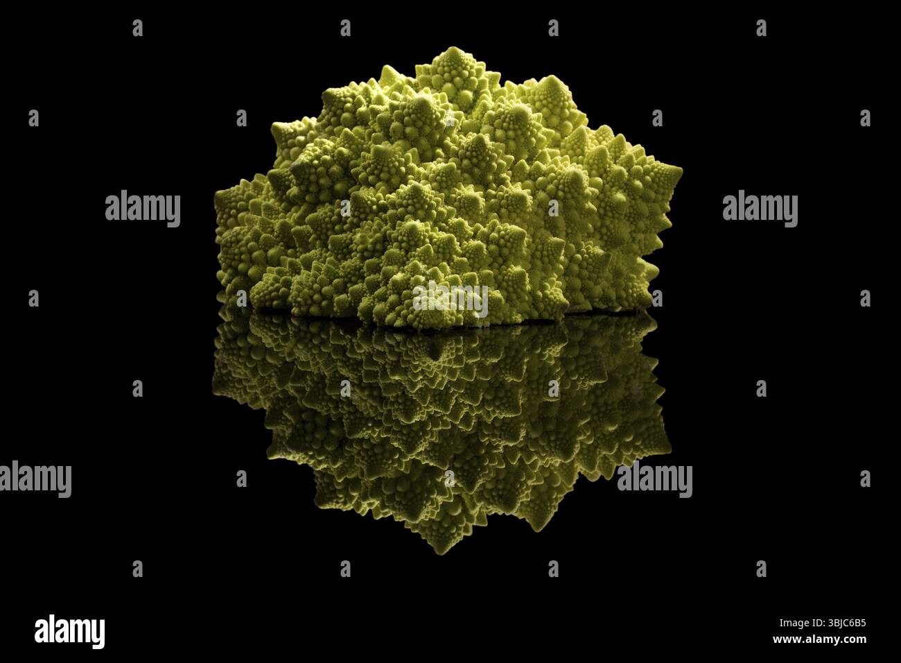 Brocoli Romanesco isolé sur fond noir avec réflexion. Manger des légumes frais Banque D'Images