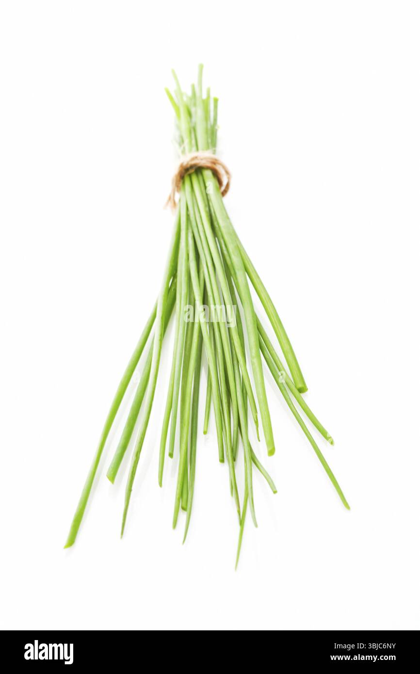 Bouquet de ciboulette biologique crue fraîche isolé sur fond blanc. Concept d'herbe culinaire aromatique Banque D'Images