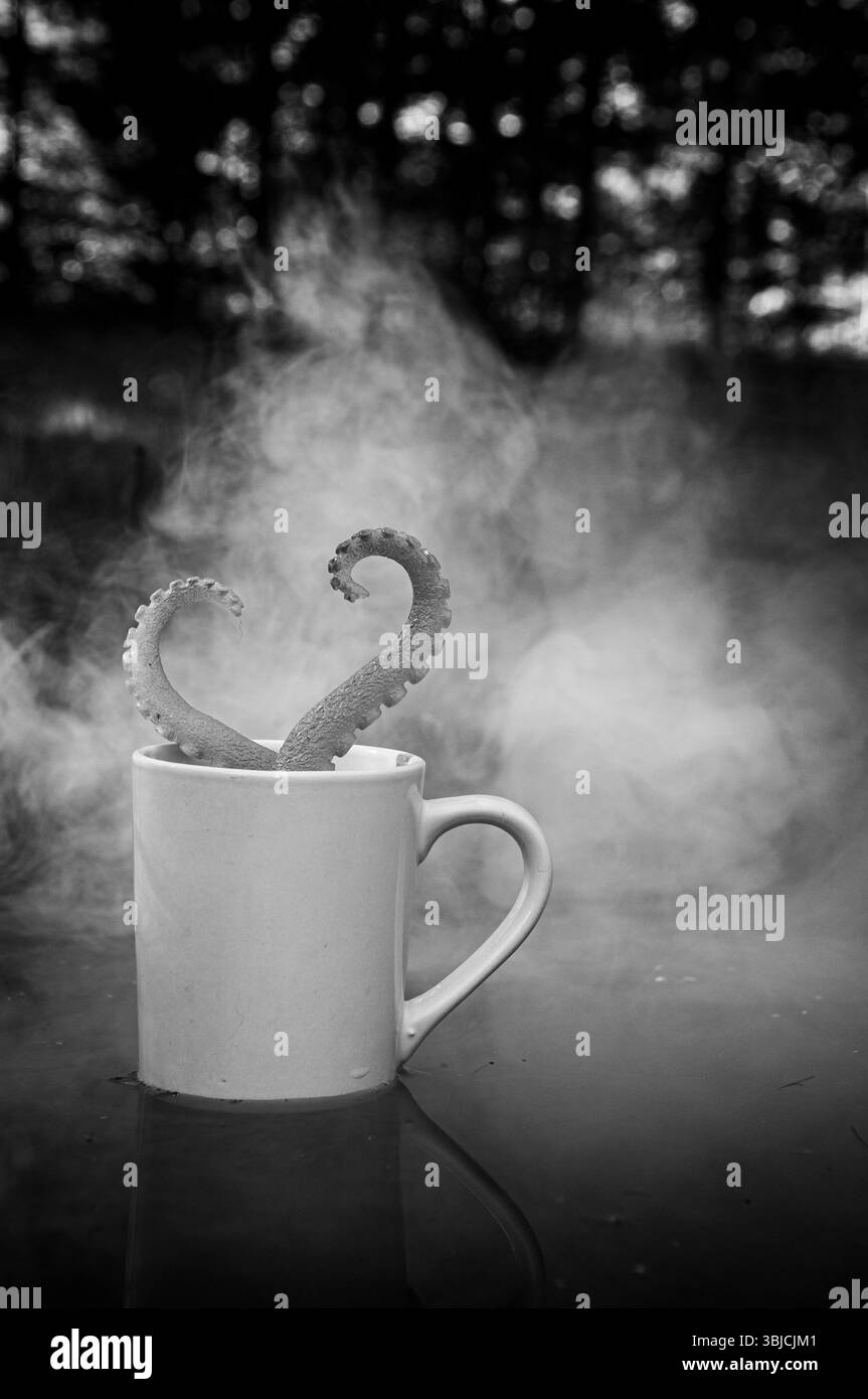 image en noir et blanc de deux pattes de mer jouet dans l'eau entourées de brouillard. Banque D'Images