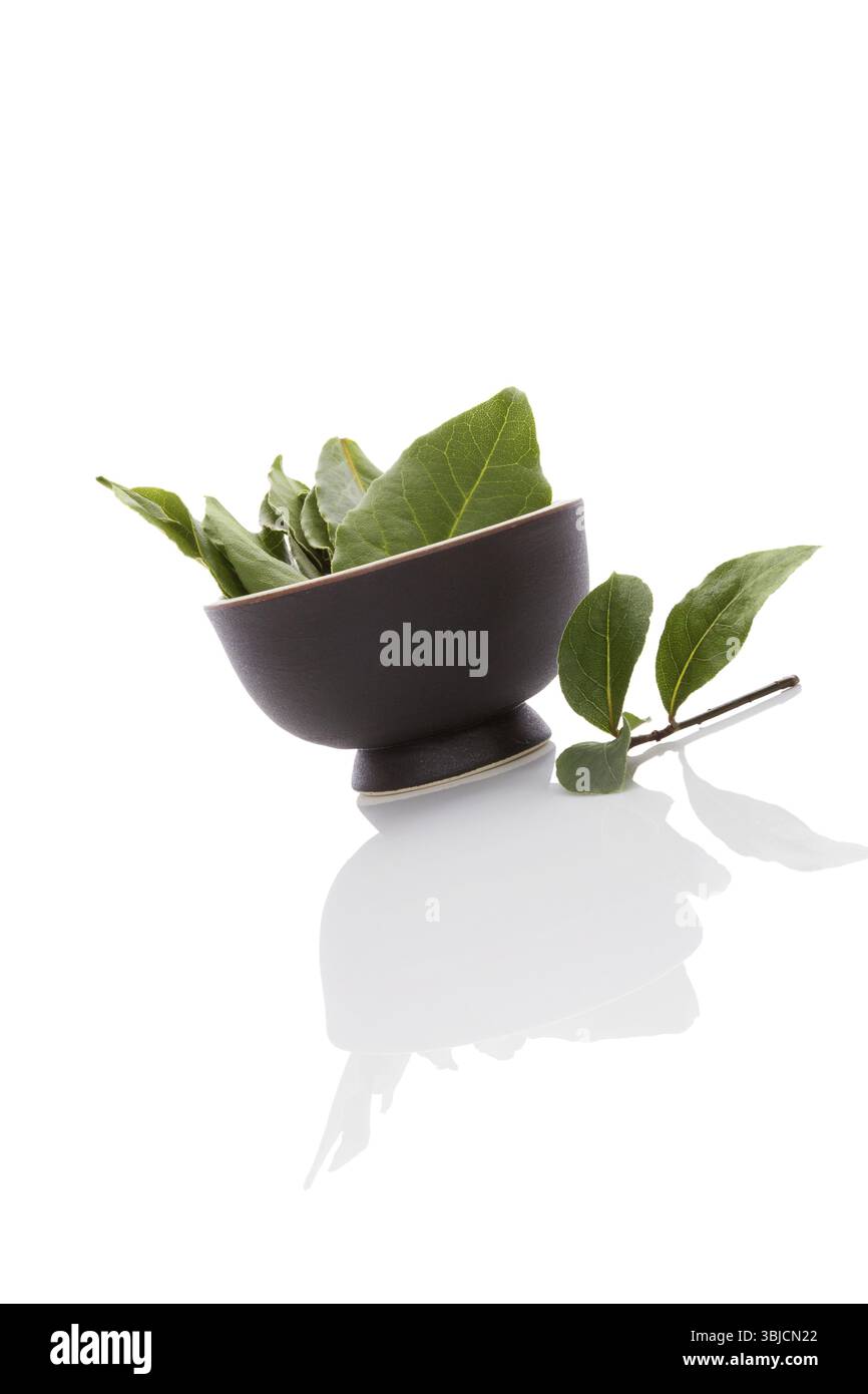 Feuilles de baie isolées sur fond blanc. Herbe culinaire, ingrédient de cuisine et herbe médicale Banque D'Images