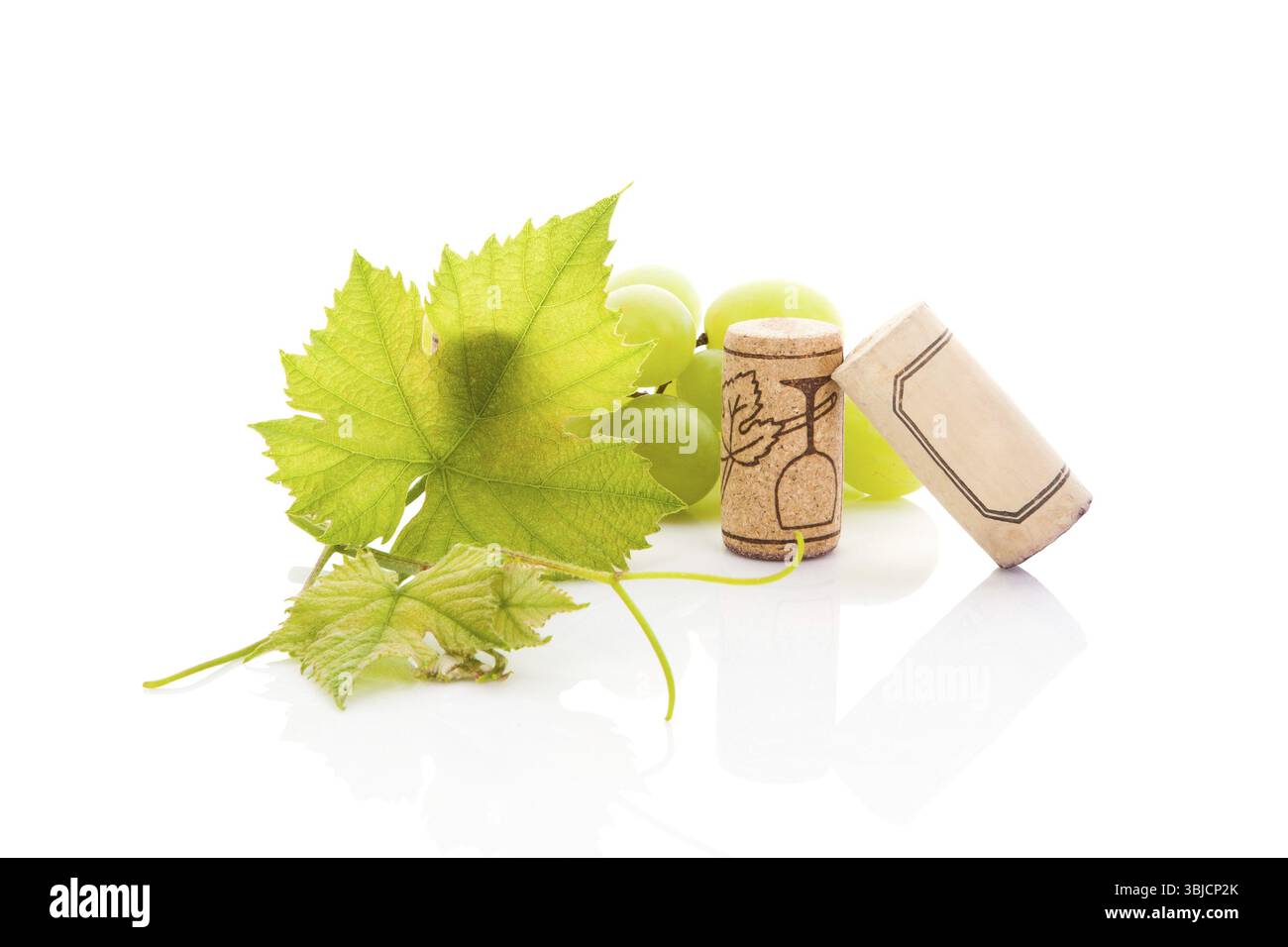 Vin de luxe buvant de la nature morte, styles contemporains minimaux et clairsemés. Raisins blancs, liège de vin et feuilles de vin isolés sur fond blanc avec refl Banque D'Images
