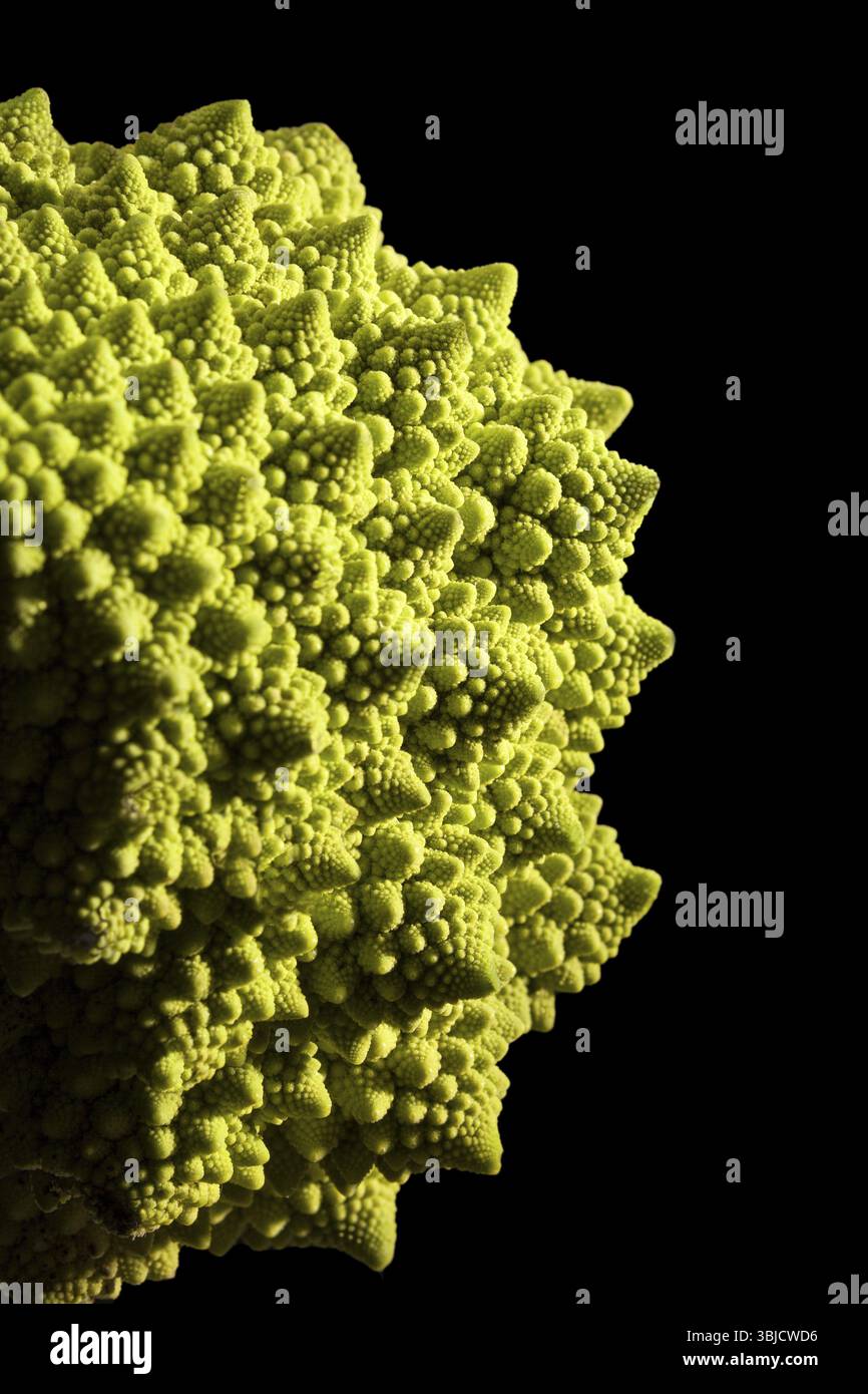 Brocoli Romanesco isolé sur fond noir. Manger des légumes sains Banque D'Images