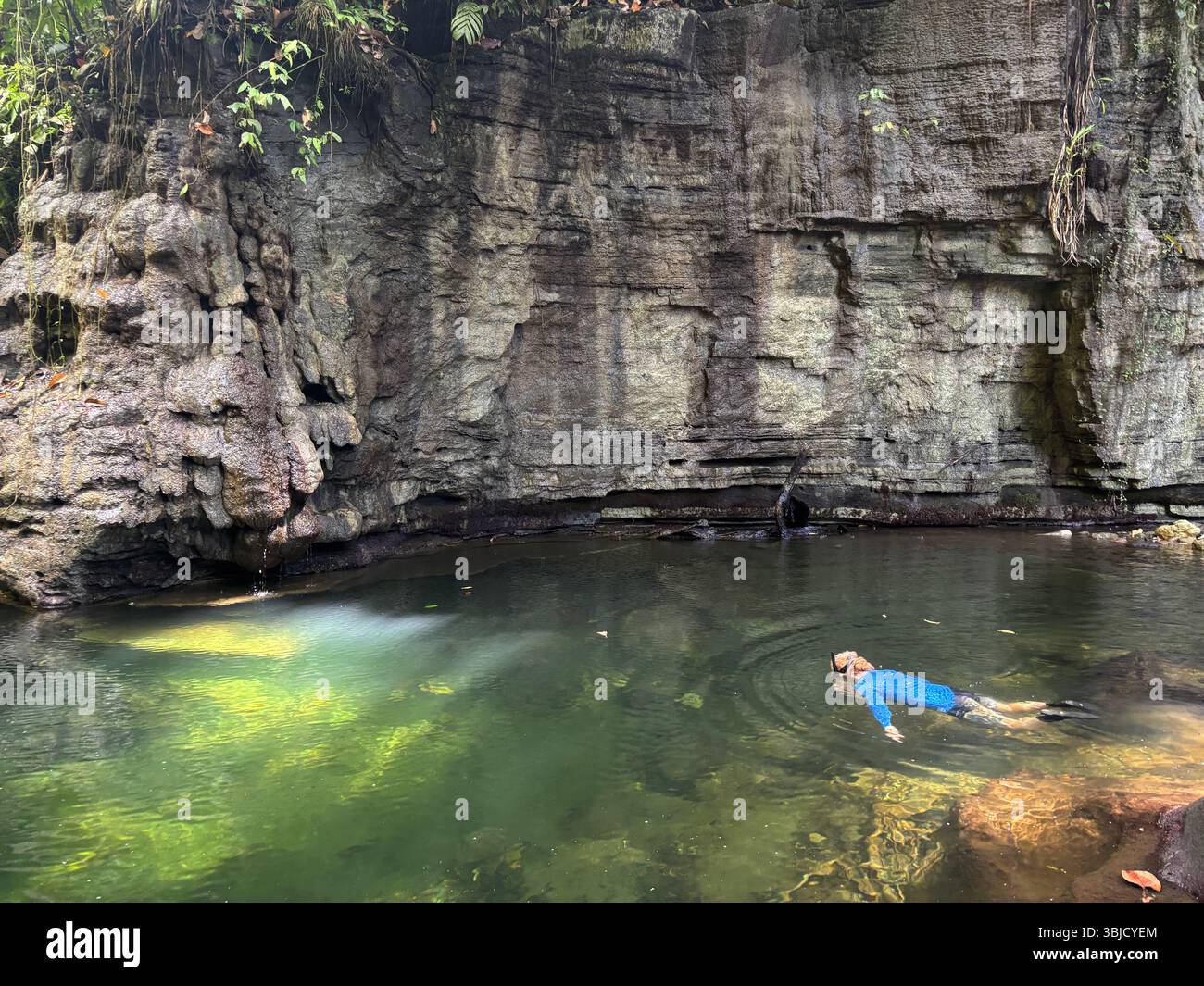 Snorkeller dans la piscine d'eau douce, rivière Barora, île de Tetepare, province de l'Ouest, Îles Salomon. Non M. - Image de stock capturée avec un smartphone