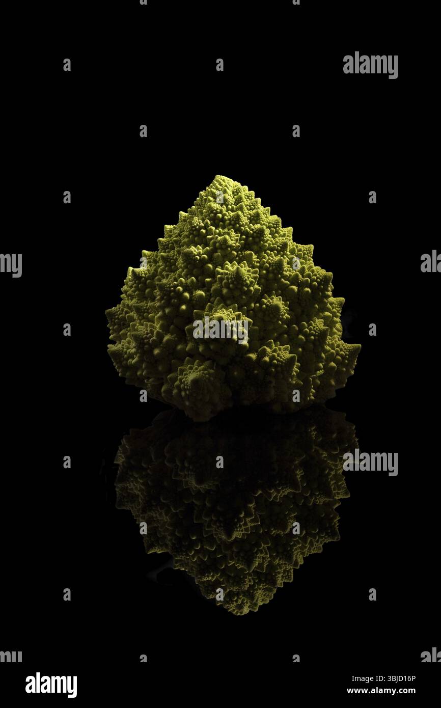 Brocoli Romanesco isolé sur fond noir. Manger des légumes sains Banque D'Images