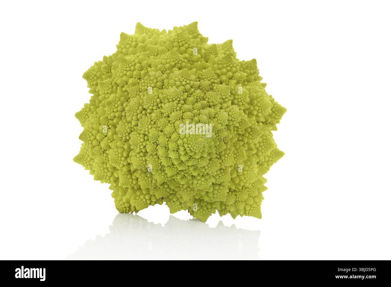Brocoli Romanesco isolé sur fond blanc. Manger des légumes sains Banque D'Images