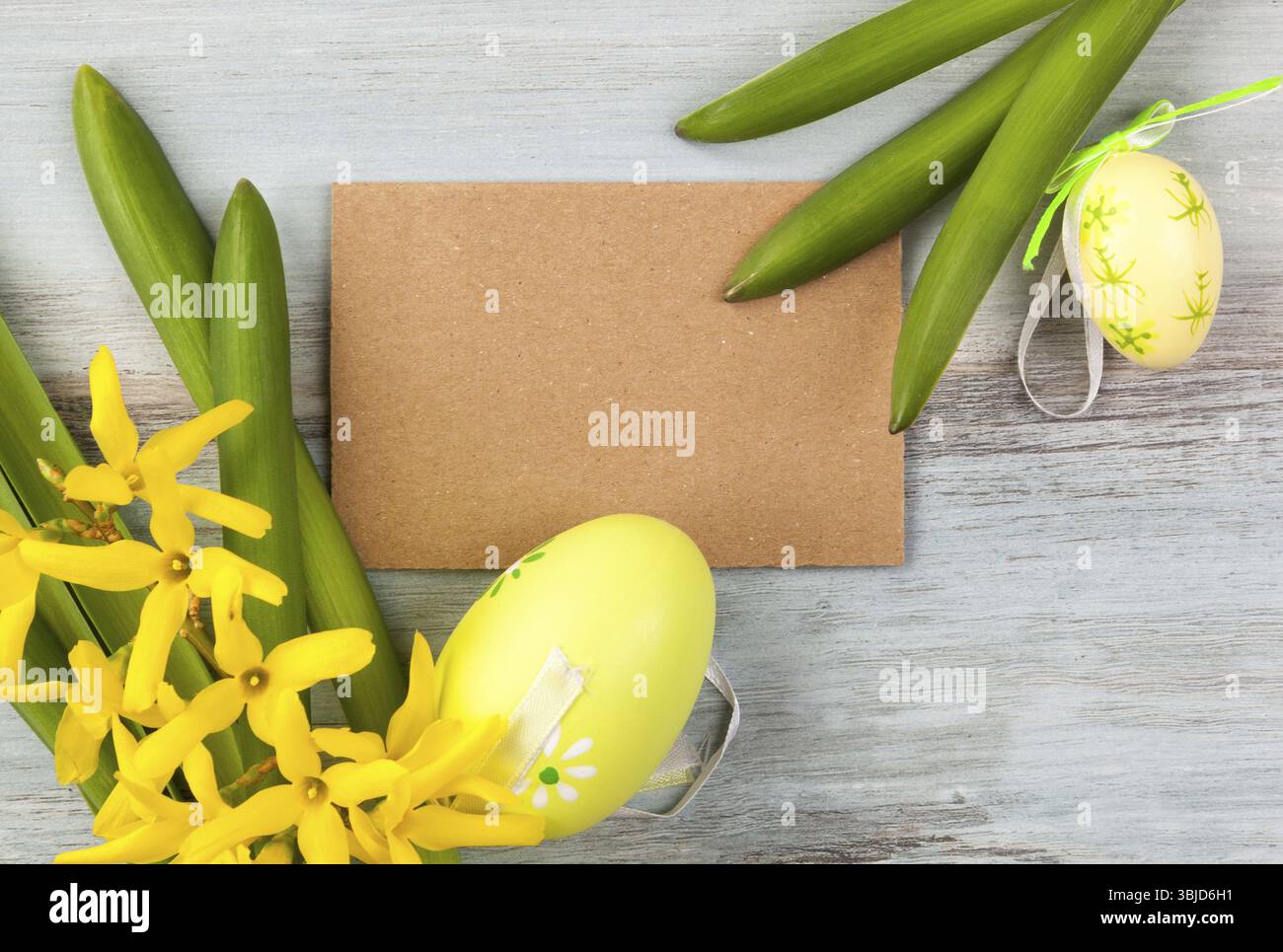 Fond traditionnel de pâques vu d'en haut. Oeufs de Pâques et fleur de forsythia avec étiquette vierge Banque D'Images