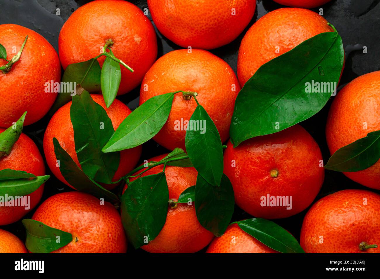 Mandarine, délicieux fruit d'hiver riche en vitamine C. Banque D'Images