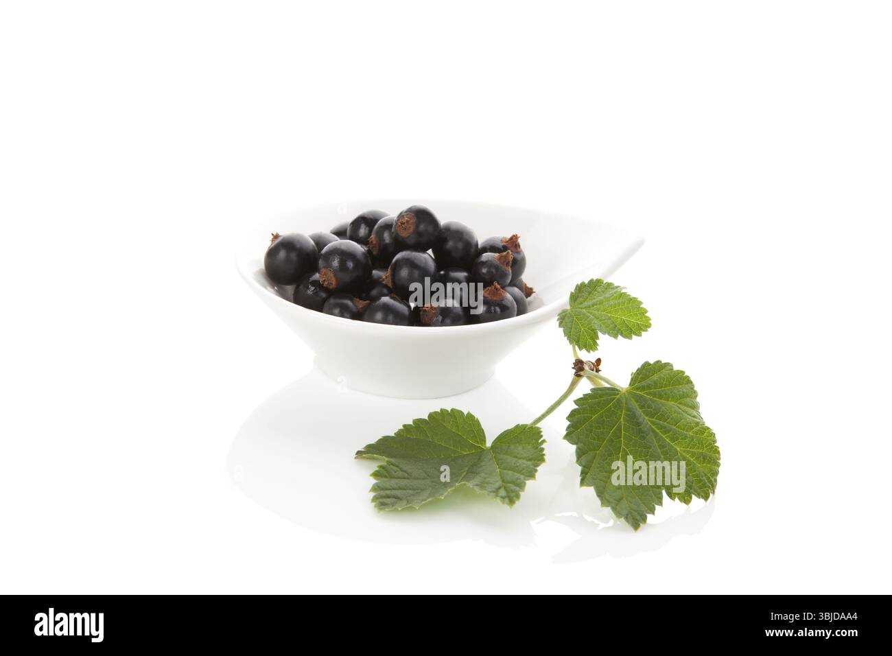 Délicieux cassis noir dans un bol isolé sur fond blanc. Manger des fruits d'été sains Banque D'Images