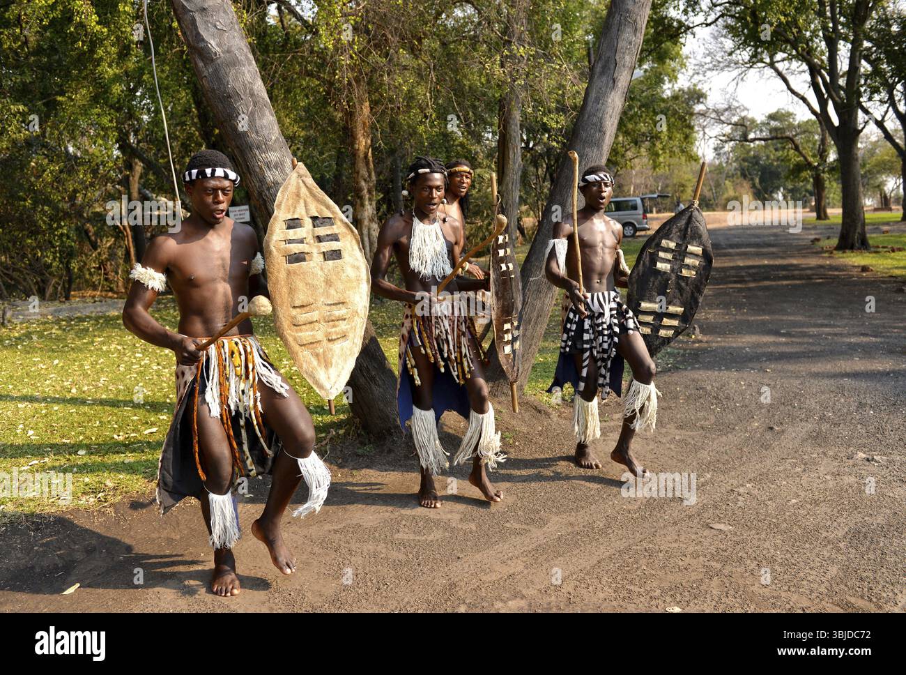 Groupe de danse traditionnelle africaine, Zambie, Afrique Banque D'Images