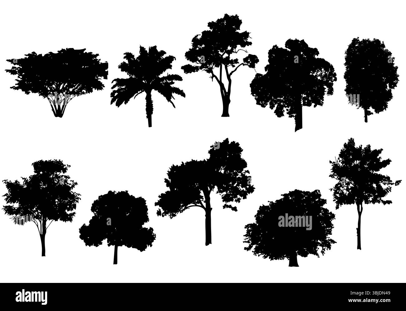 Ensemble d'arbre de silhouette isolé sur fond blanc pour fournir l'étude dans la variété botanique et la conception, Outline plante d'arbres tropicaux pour illustrer Illustration de Vecteur