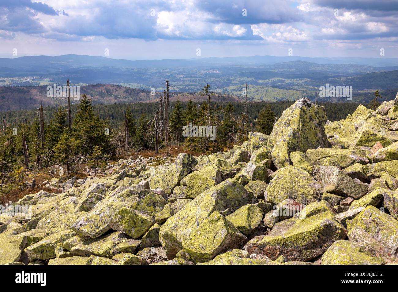 Block Fall au sommet de la montagne Lusen, forêt bavaroise Banque D'Images