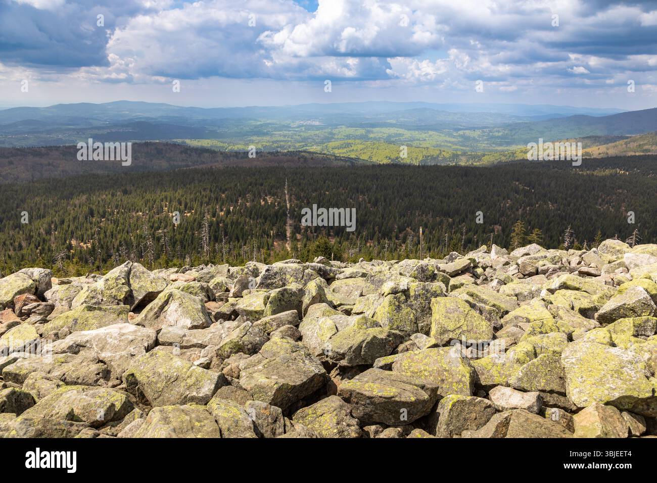 Block Fall au sommet de la montagne Lusen, forêt bavaroise Banque D'Images