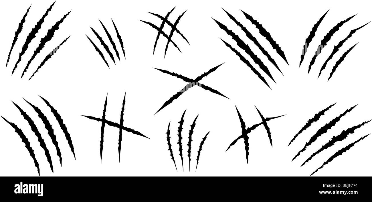 Ensemble de griffes noires gratte les animaux. Forme de quatre rayures. Marques de griffes d'animaux sauvages. Élément de conception drôle. Illustration vectorielle Illustration de Vecteur