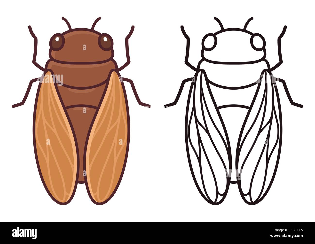Dessin de cicada de dessin animé. Illustration couleur et dessin au trait noir et blanc pour la coloration. Icône vectorielle dessinée à la main. Illustration de Vecteur