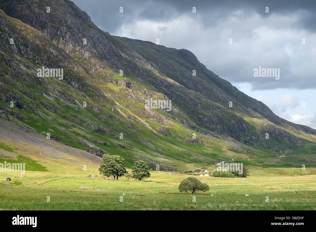Vue vers la crête de Stob Coire Leith et Meall Dearg depuis le plancher de la vallée de Glencoe, Écosse, Royaume-Uni Banque D'Images