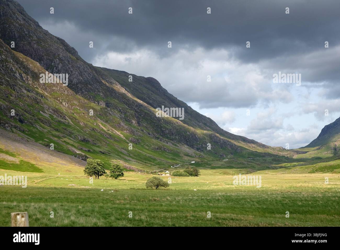 Vue vers la crête de Stob Coire Leith et Meall Dearg depuis le plancher de la vallée de Glencoe, Écosse, Royaume-Uni Banque D'Images