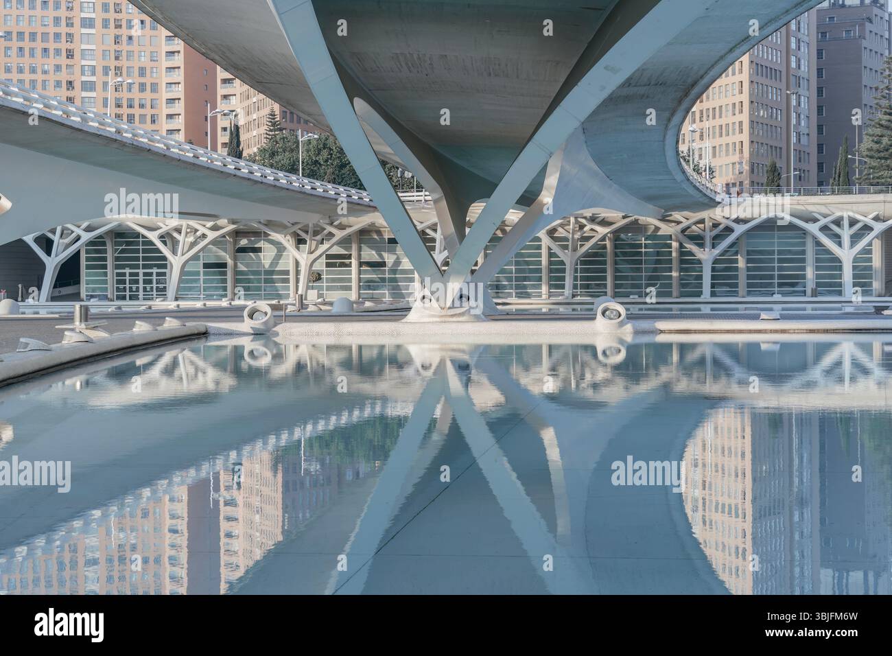 Architecture futuriste de la Cité des Arts et des Sciences avec piscine d'eau réfléchissante. Valencia Landmark, Design moderne, structures en béton, Urban Landscap Banque D'Images