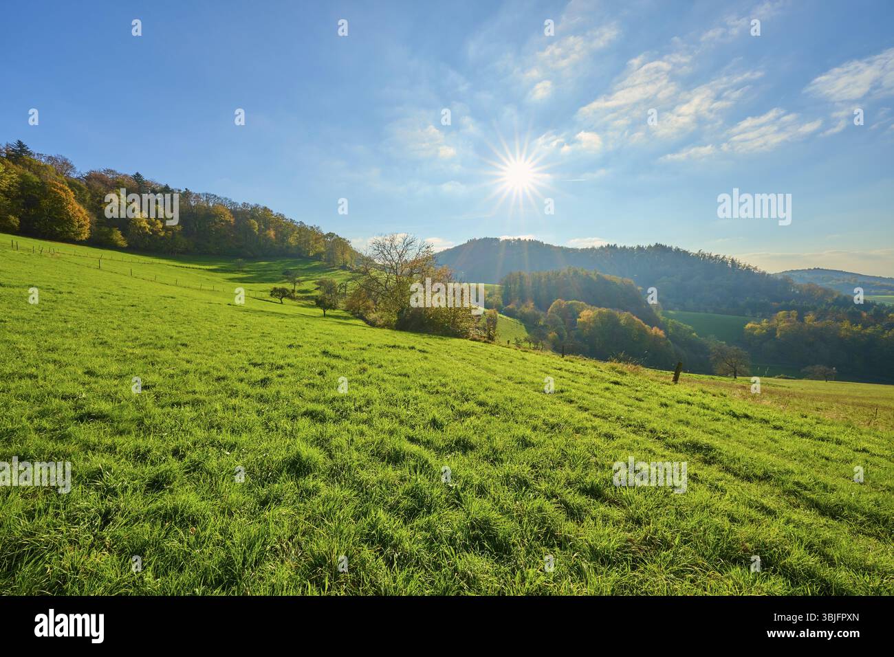 Collines ensoleillées avec végétation automnale sous un ciel lumineux, Voeckelsbach, Moerlenbach, Bergstrasse district, Odenwald, Hesse, Allemagne, Europe Banque D'Images