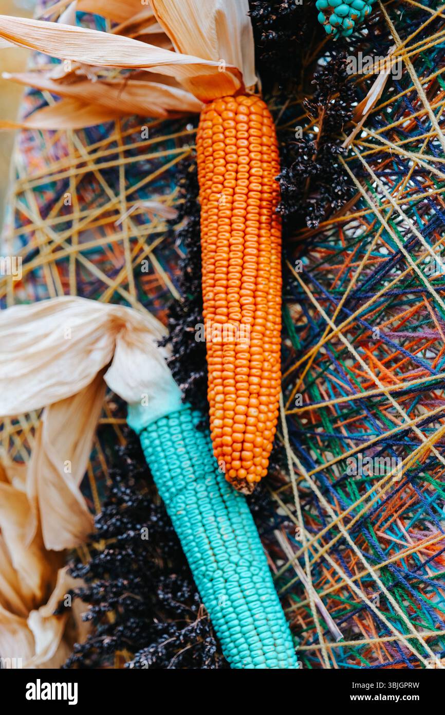 Maïs décoratif pour Halloween et Thanksgiving. Décoration de récolte d'automne de maïs indien coloré. Décoration de maïs pour la saison d'automne Banque D'Images