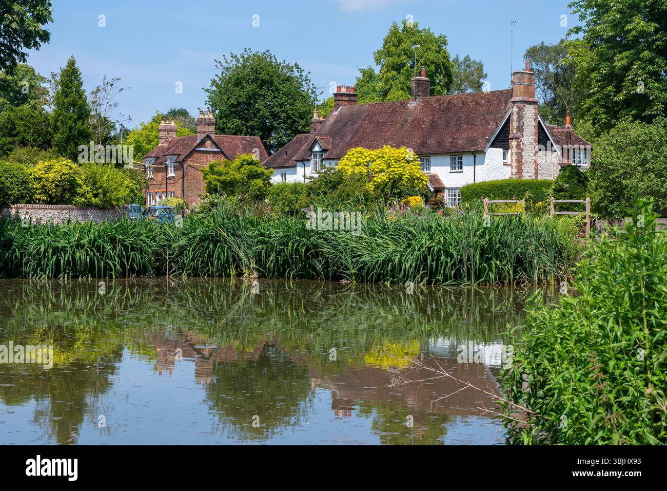 Village de Buriton et étang de village dans le Hampshire, Angleterre, Royaume-Uni, par une journée d'été ensoleillée Banque D'Images