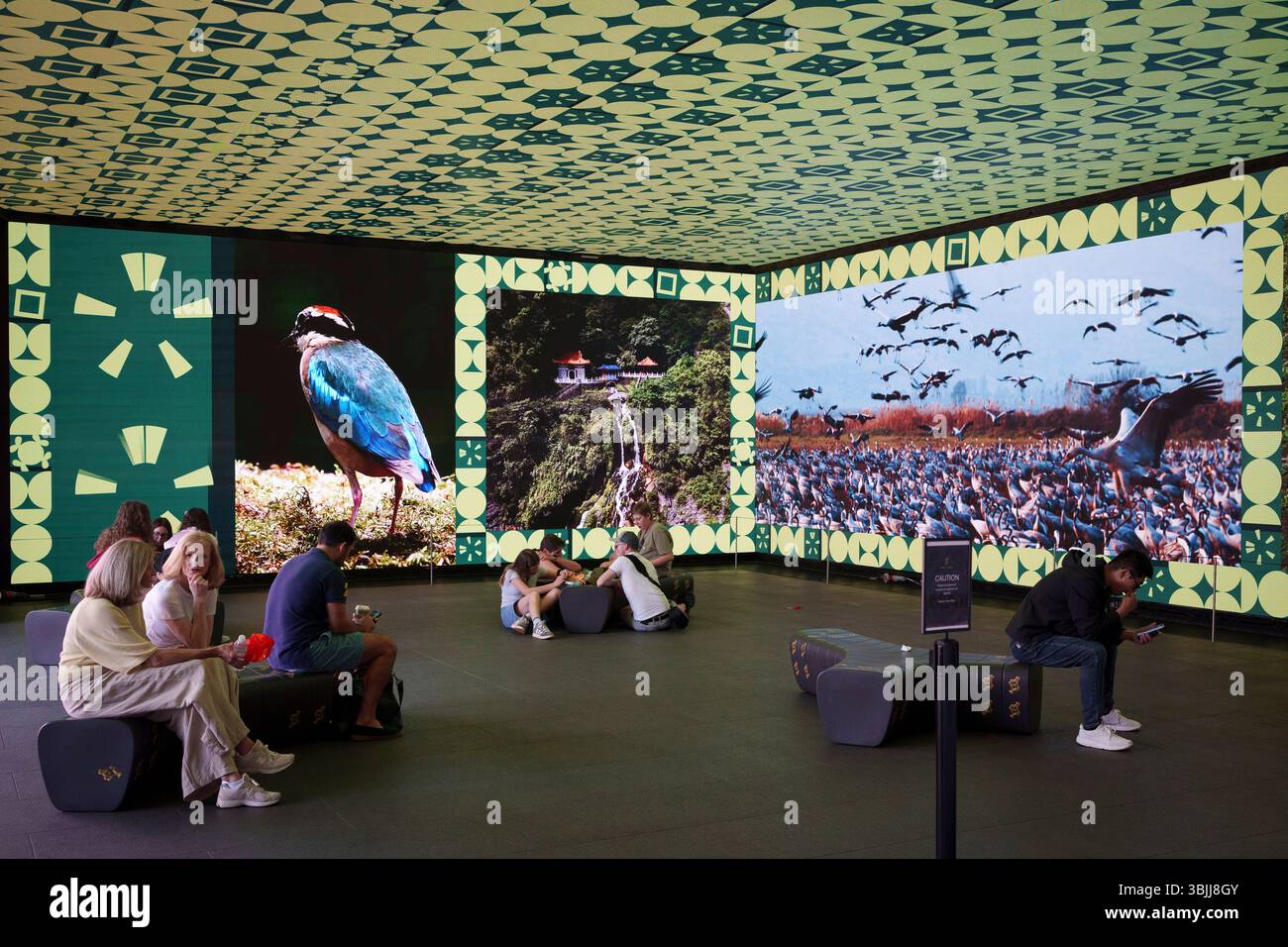 Les membres du public regardent une expérience audiovisuelle montrant la beauté et la culture de Taiwan, à Outernet Londres, le 13 juin 2025, à Londres, Angleterre. Créé par l’Administration du tourisme de Taiwan (TTA), le spectacle intitulé « Taiwan : Waves of Wonder », célèbre la beauté naturelle et la culture dynamique de l’île, des montagnes luxuriantes aux côtes étincelantes, l’expérience met en lumière les riches contrastes et l’énergie invitante de Taiwan. Banque D'Images