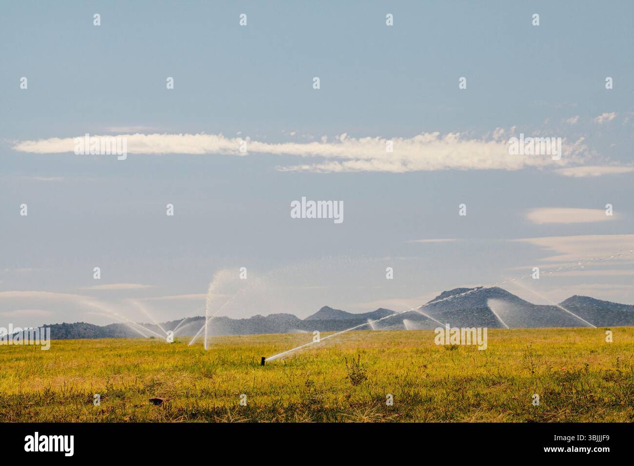 Gicleurs d'eau dans le champ rural montagne toile de fond Banque D'Images