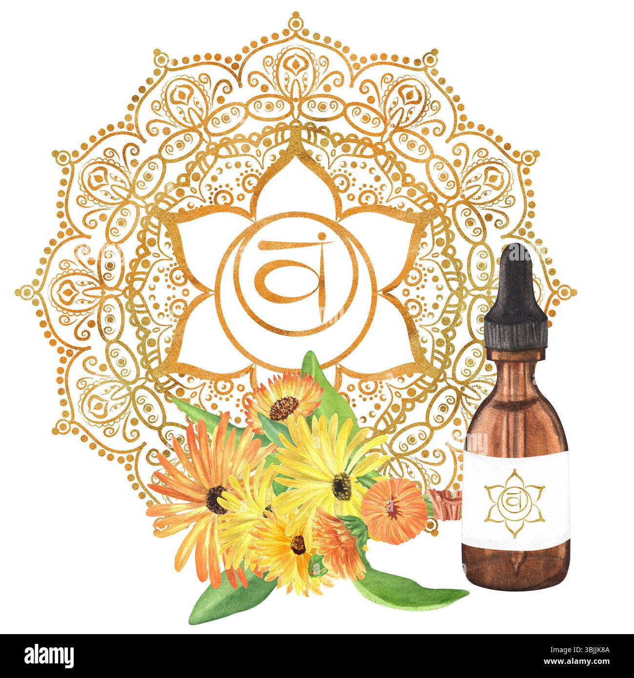 Flacon en verre aquarelle avec bouquet d'huile essentielle et de calendula avec fleurs jaunes et oranges et feuilles vertes. Chakra sacré orange doré Svadhistha Banque D'Images