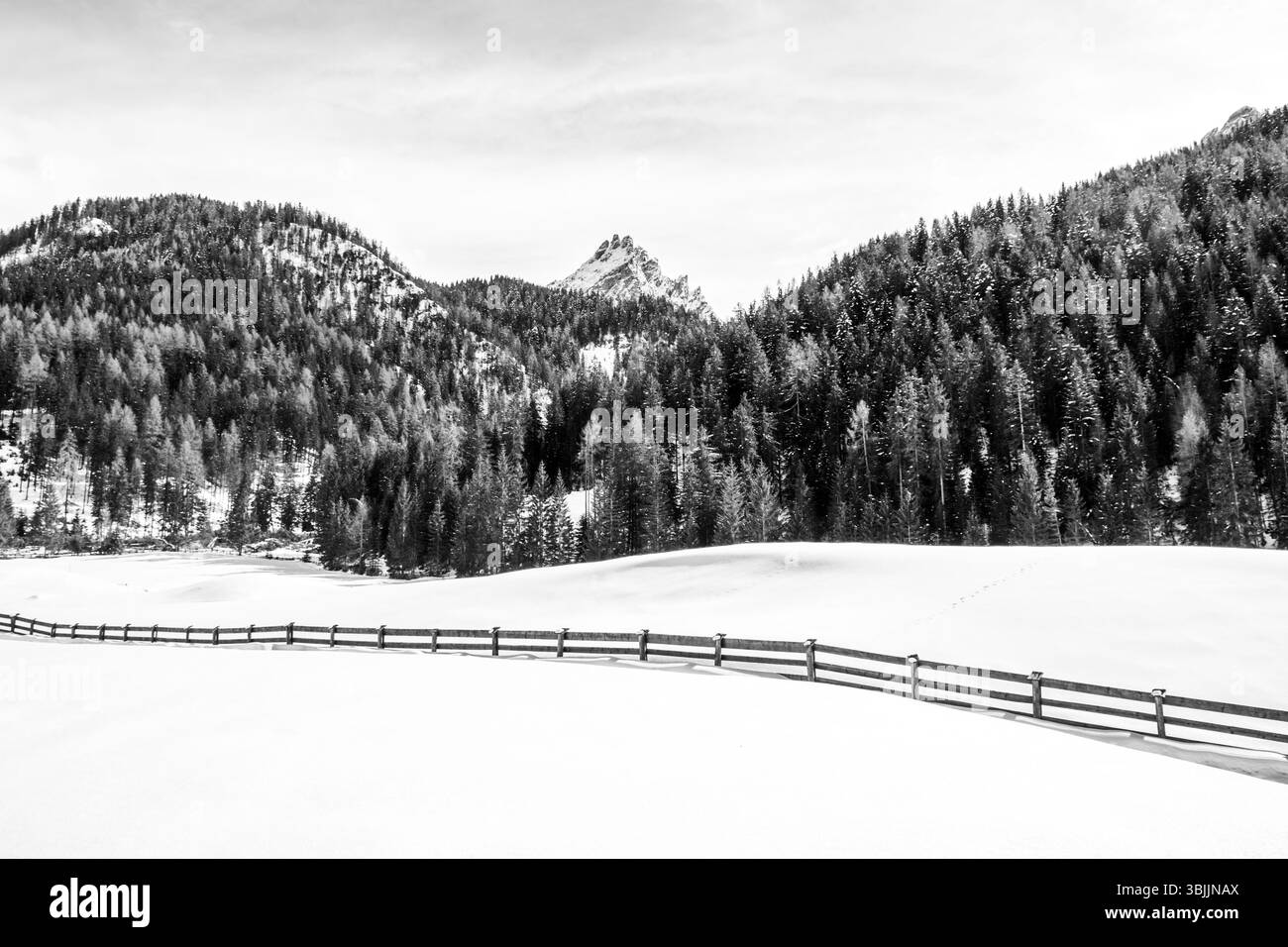 La clôture en bois sépare deux prairies recouvertes de neige douce à Dobbiaco, Trentin-Haut-Adige, Italie, avec les bois et les pics typiques des Dolomites b Banque D'Images