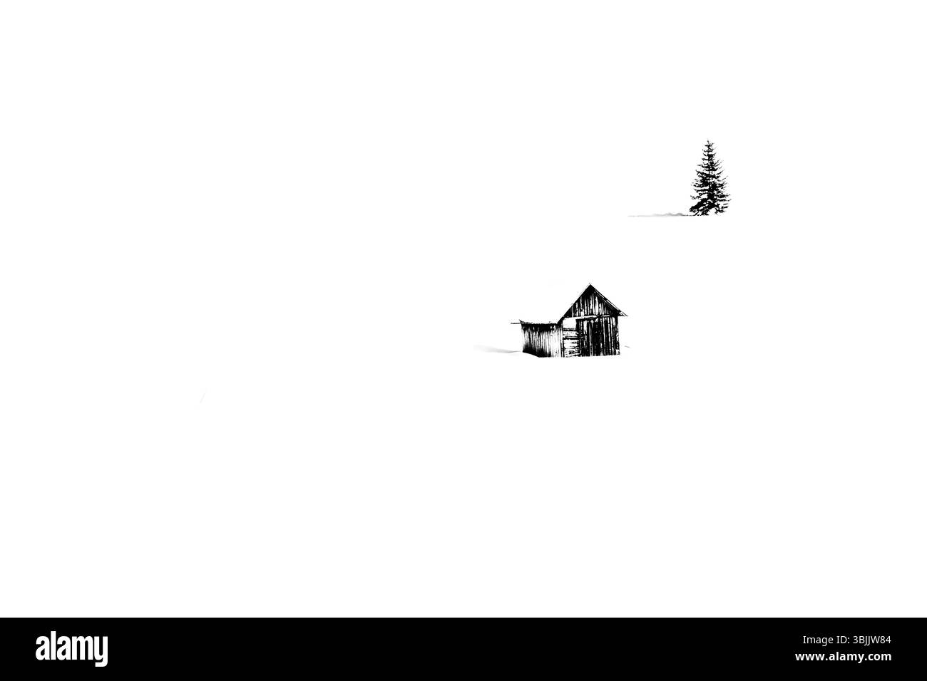 Cabane alpine en bois de pin immergé dans la neige dans les Dolomites à Prato Piazza dans Trentin-Haut-Adige, Italie Banque D'Images