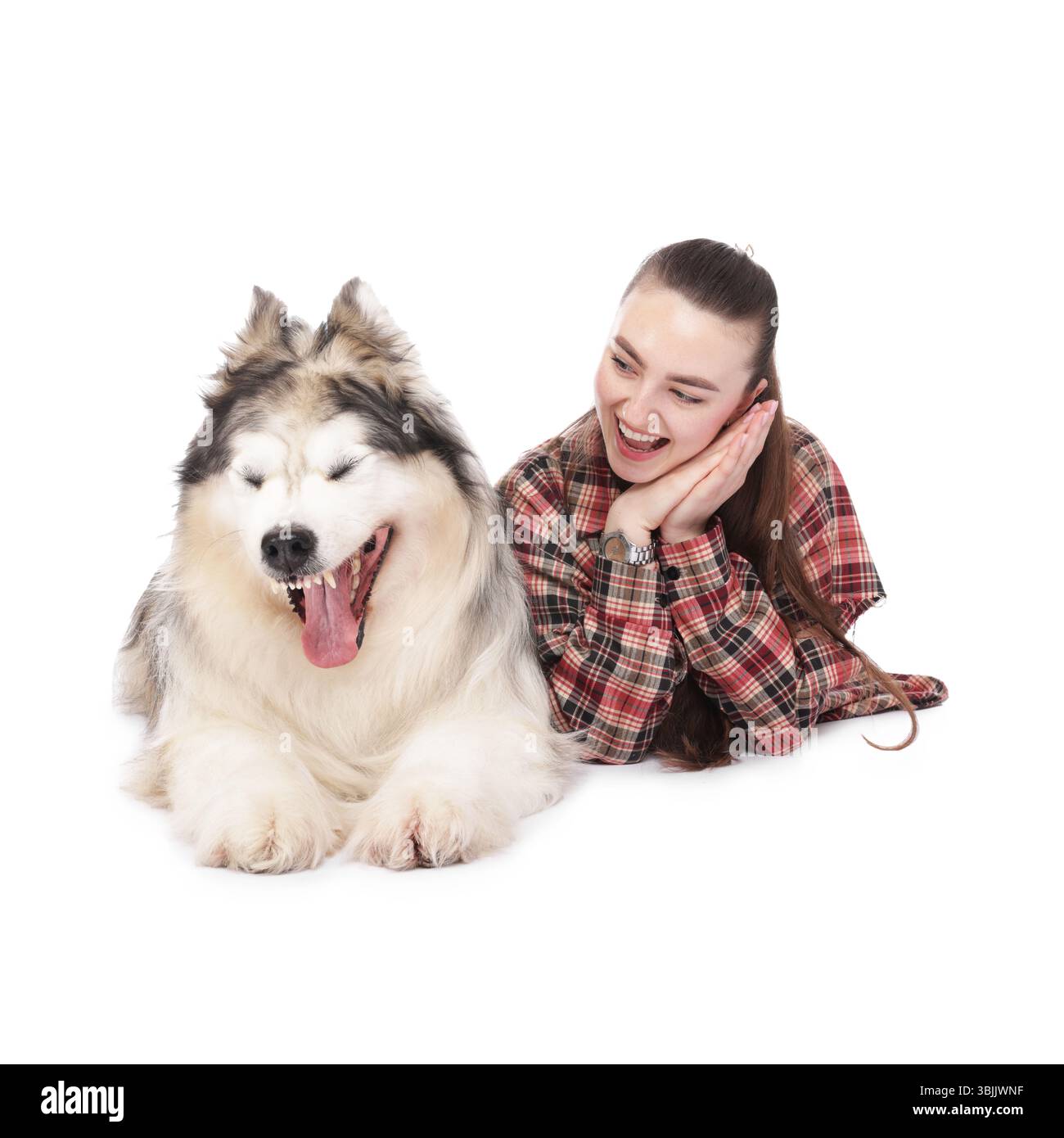 Femme avec son beau chien Malamute d'Alaska sur fond blanc Banque D'Images