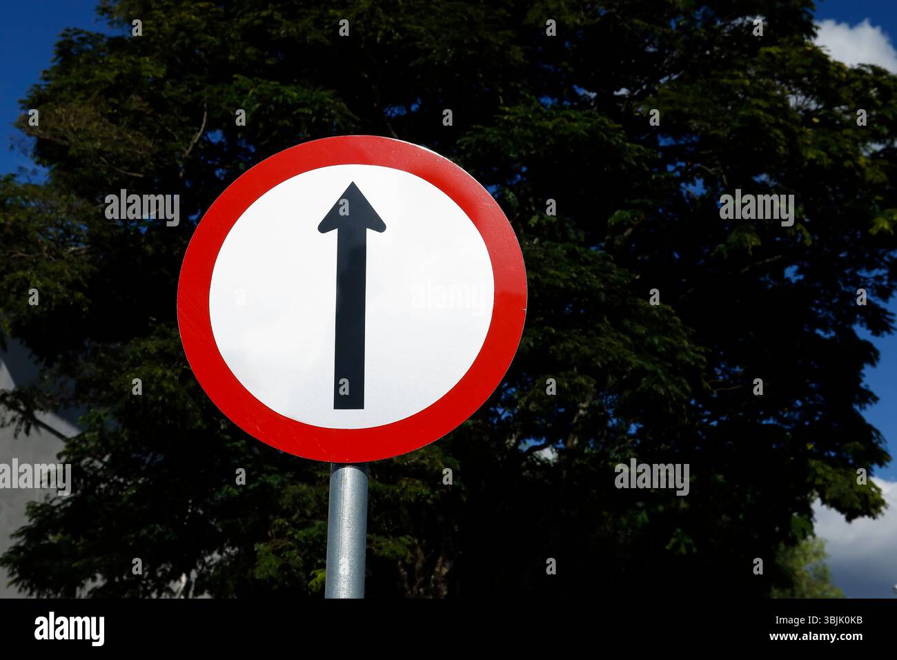 panneau de direction à droite - panneau de direction à droite - allez tout droit Banque D'Images