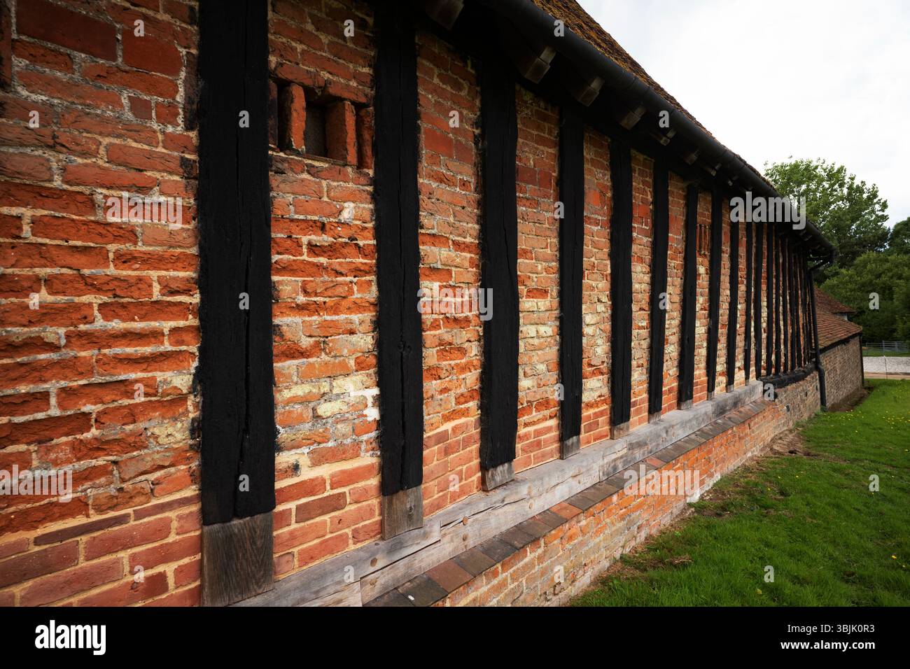 Cressing Temple Wheat Barn vers 1280, Cressing Essex, Angleterre juin 2025 vu ici : la grange de blé (liste du patrimoine anglais 1123866) a été construite à aro Banque D'Images