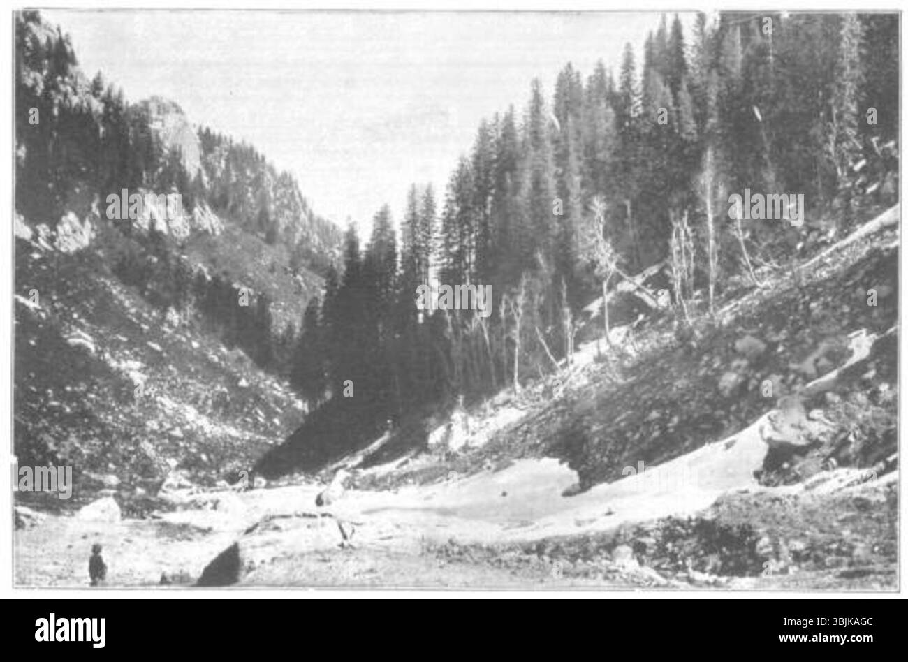 Photographie du col de Lowari, prise en mai 1895 par le sergent Mayo des sapeurs et mineurs du Bengale. Cette image, qui fait partie du livre 'The relief of Chitral', a été écrite par George John Younghusband et Francis Edward Younghusband. Il offre un aperçu historique du paysage de l'époque coloniale britannique. Banque D'Images