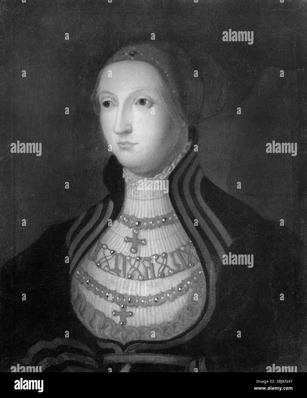 Cette peinture à l'huile du XVIIe siècle de David Frumerie représente Anne, comtesse de Foix, reine de Bohême et de Hongrie, décédée en 1506. L'œuvre met en valeur son statut royal et sa noble identité, mêlant portraits historiques et symbolisme royal. Banque D'Images