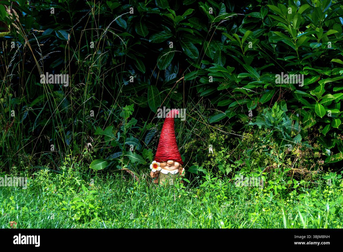 Un charmant gnome de jardin en céramique avec un chapeau rouge se trouve au milieu des hautes herbes et du feuillage vibrant dans une cour sereine. France Banque D'Images