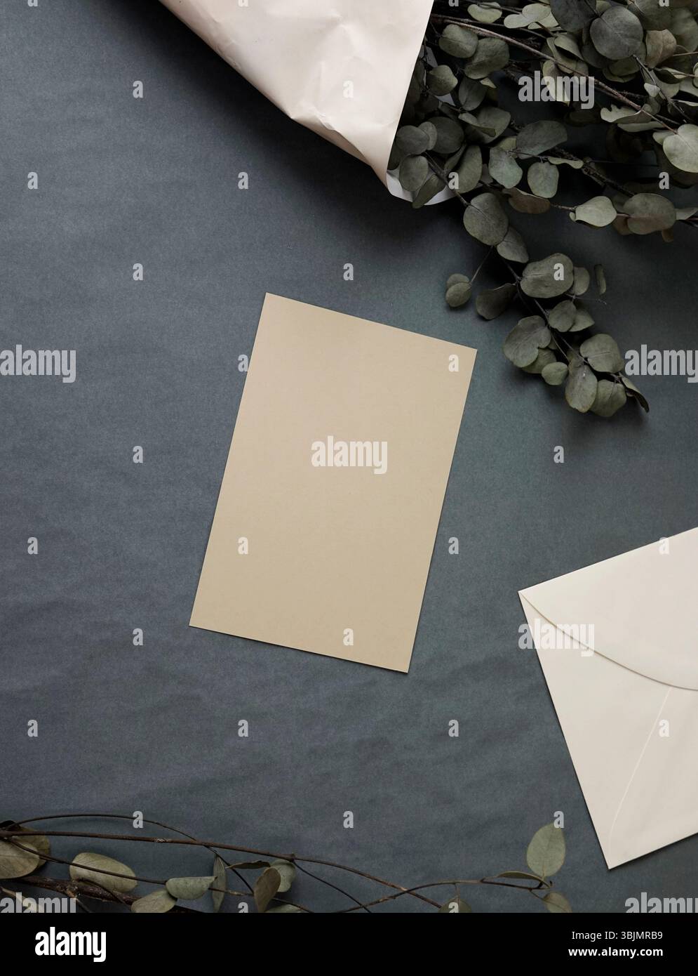 Véritable photo artisanale brun enveloppe de carte vierge eucalyptus gris bg maquette verticale modèle esthétique Banque D'Images
