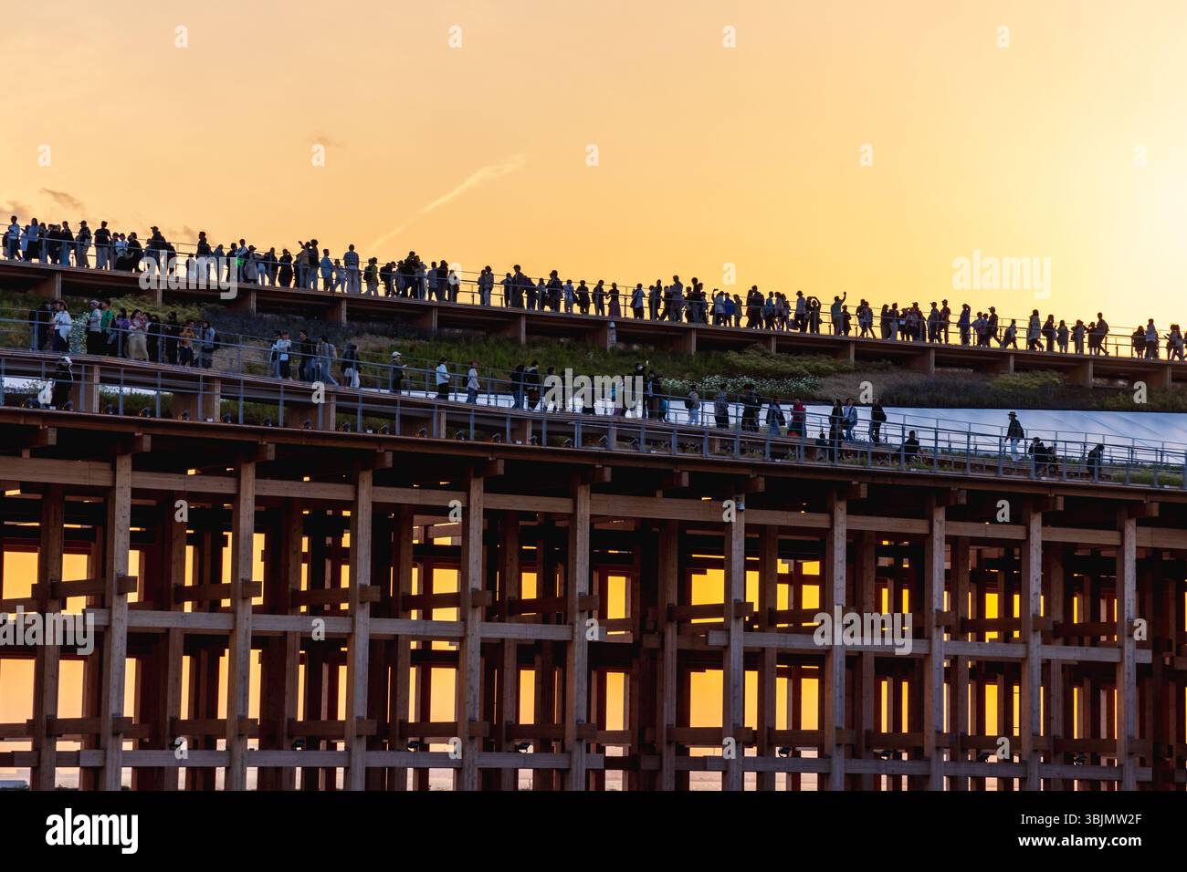 Vue au coucher du soleil sur la place de l'eau et le grand anneau, un point de repère principal sur le site de l'exposition universelle de 2025 à Osaka, Kansai, Japon. Banque D'Images