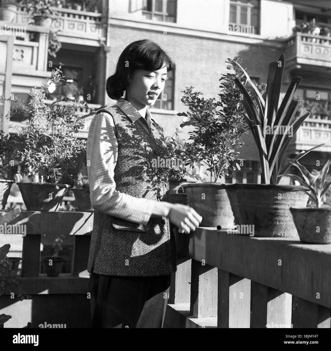 Années 1970 China Urban Balcony Gardening - jeune femme qui s'occupe de plantes en pot Banque D'Images