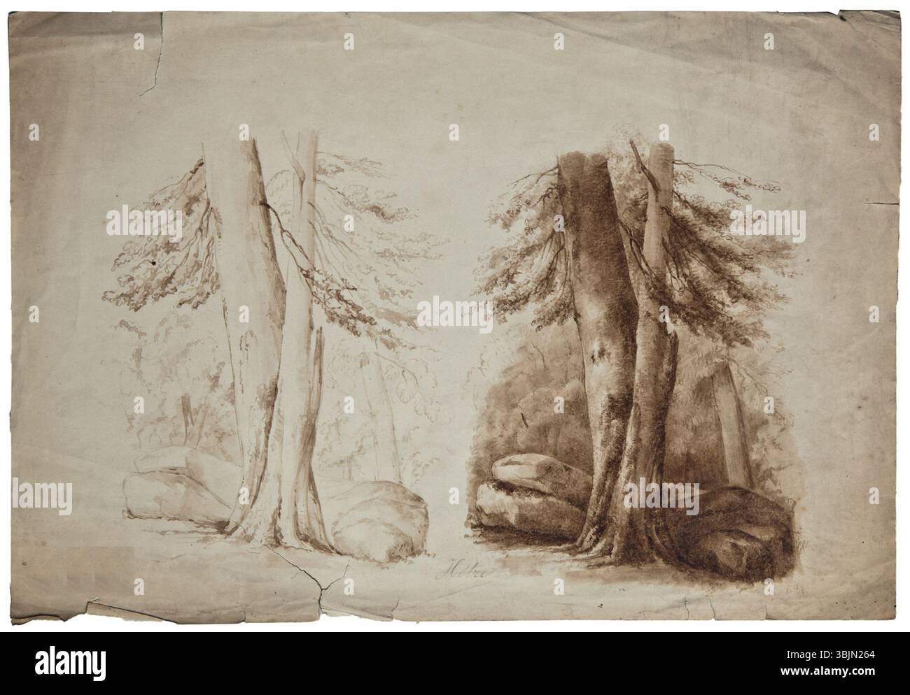 Peisaj (paysage) de Gabriel Popescu représente une composition provenant d'une forêt, en se concentrant sur une étude des hêtres. Exécuté en lavage à l'encre sépia, ce travail examine le dessin au trait, la modélisation de la lumière et des ombres. Banque D'Images