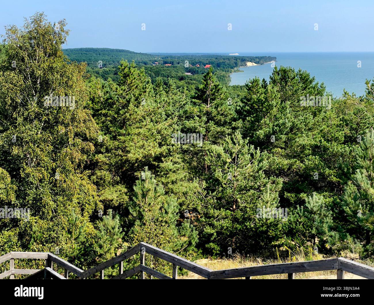 Point de vue de Vysota EFA sur le parc forestier sur Courish Split ou Curonian Spit, région de Kalinigrad, Russie Banque D'Images