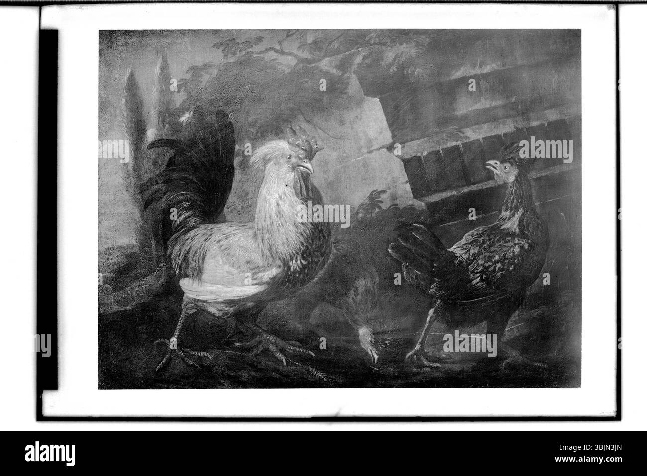 Muzeum Narodowe w Warszawie ; ; ;fot. Banque D'Images