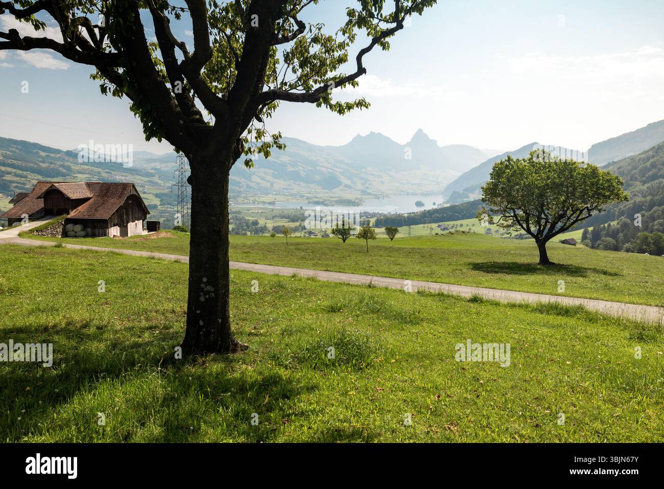 Lac Lauerzersee en Suisse centrale par une belle journée d'été Banque D'Images