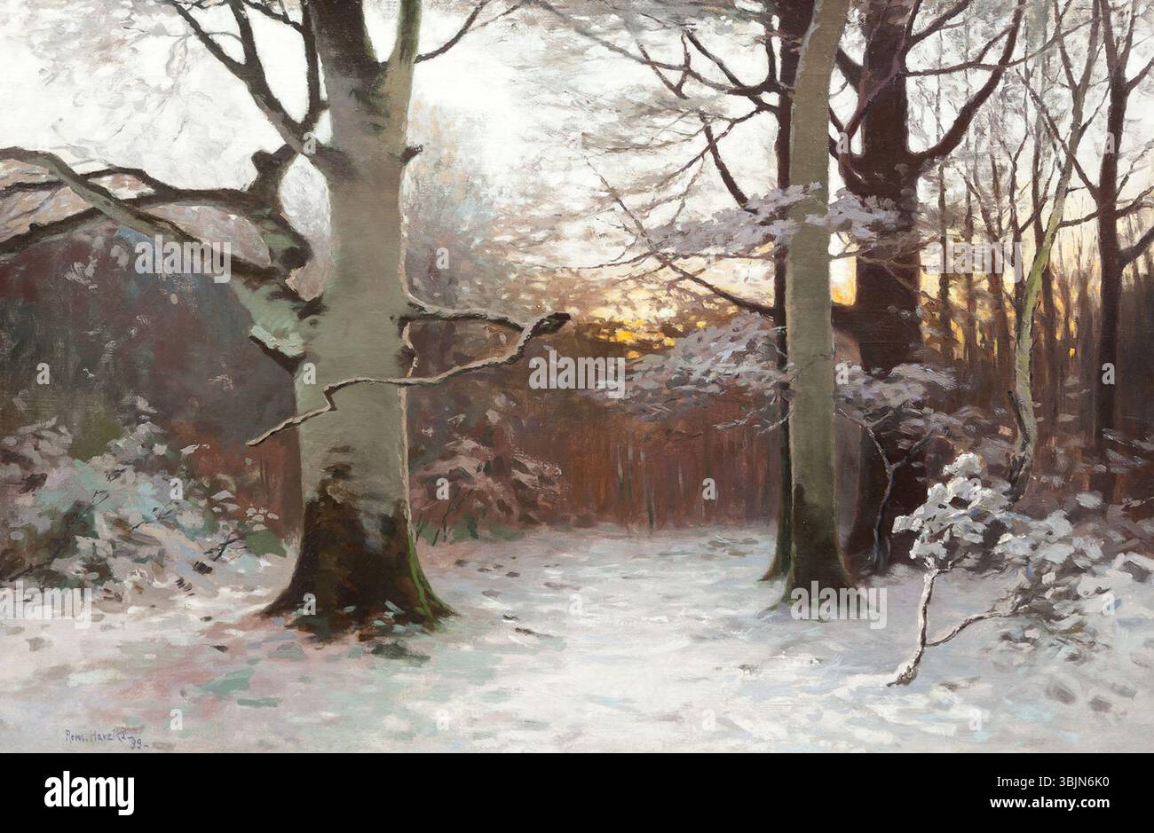 'Due bukového lesa' (1899) de Roman Havelka représente une scène forestière mettant en scène deux hêtres debout en évidence dans une forêt dense. La peinture à l'huile souligne la force et la majesté des arbres, entourés d'un environnement forestier riche. Banque D'Images