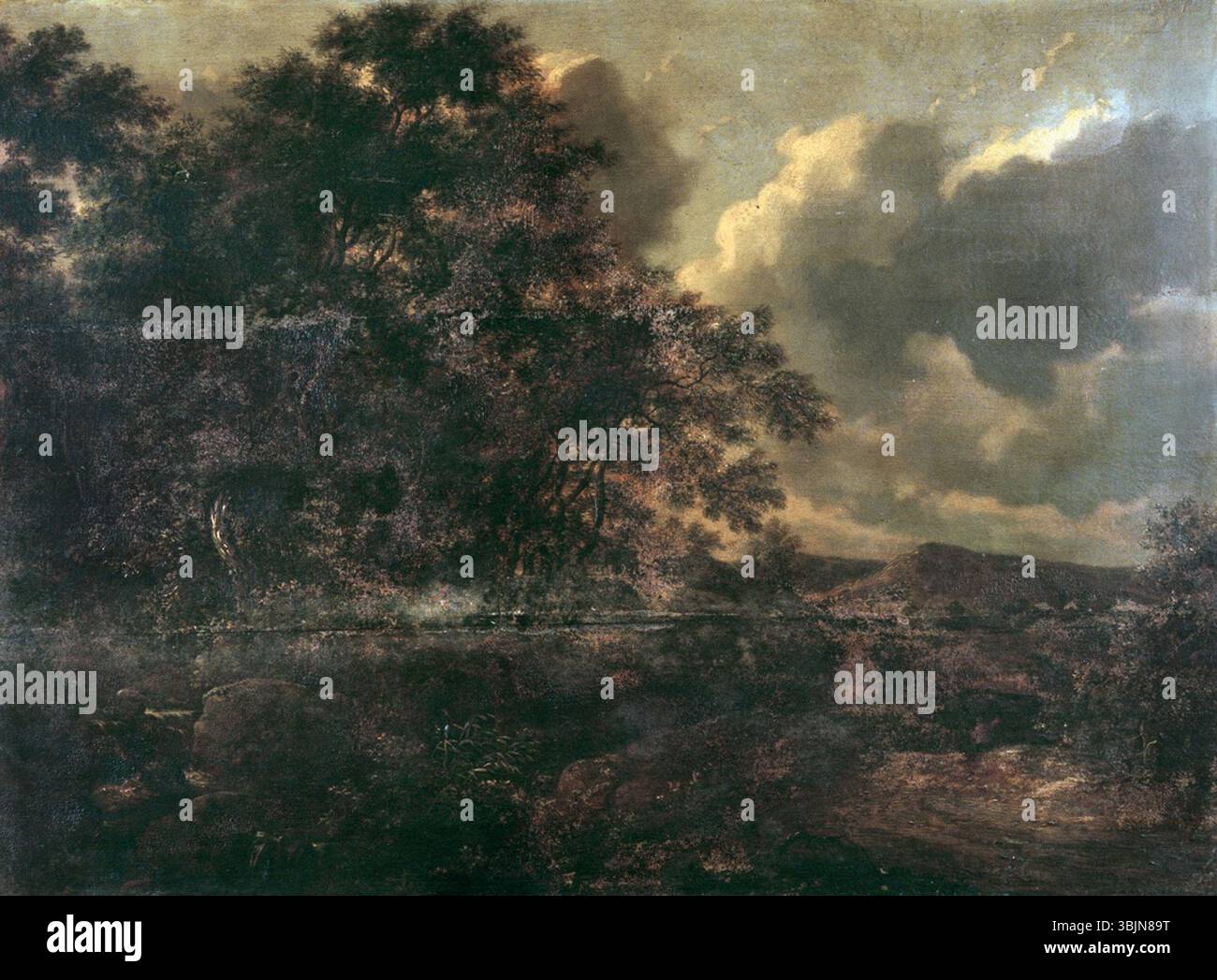 « Paysage boisé » d'Adam Pynacker (vers 1655) illustre une scène forestière tranquille avec des arbres denses et une eau calme, un parfait exemple de la peinture paysagère néerlandaise du XVIIe siècle. Banque D'Images