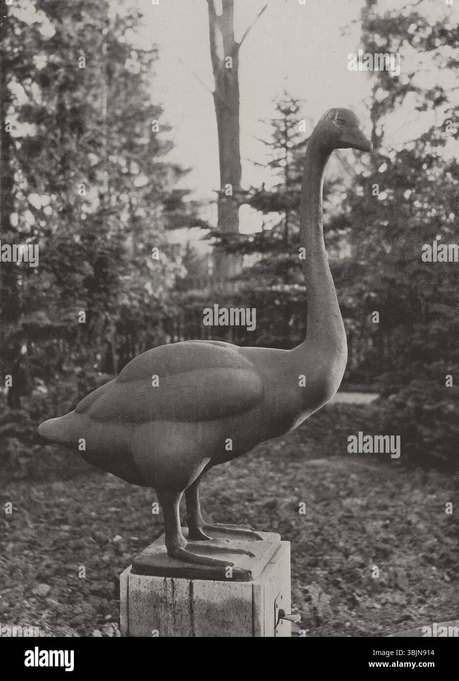 Ce troisième détail de 'Schwanenbrunnen in Breslau' par August Gaul met en évidence un autre aspect de la fontaine du cygne, avec des détails complexes sur les oiseaux et les éléments d'eau, un bel exemple de la maîtrise sculpturale de la Gaule. Banque D'Images